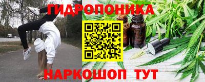 шишки Ипатово